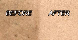 Professional Carpet Cleaners Stain Removal
