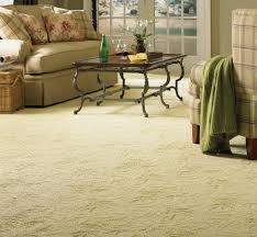 Clean Carpet Makes Your House A HOME